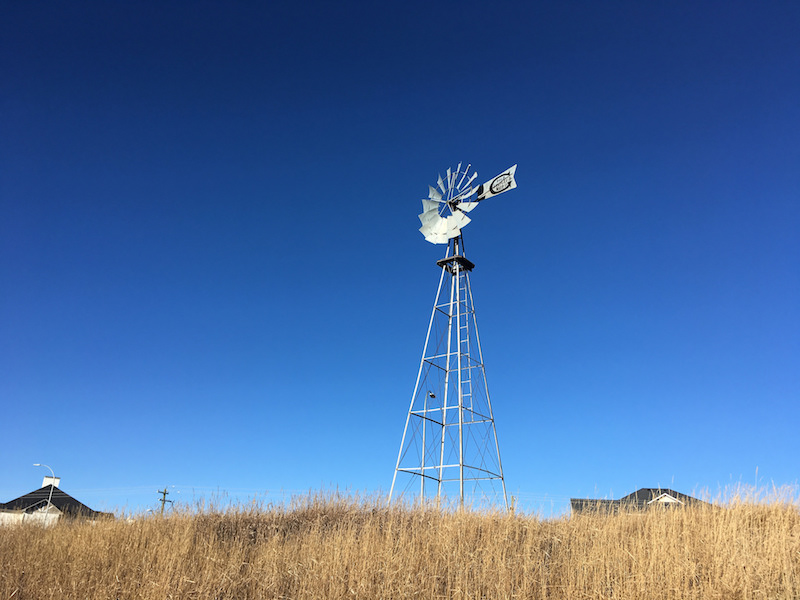 A windmill against a clear blue sky, with long dried vegetation in the foreground.